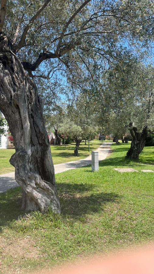 L'Isola Dei Vacanzieri Sant'Andrea Apostolo dello Ionio Exterior foto